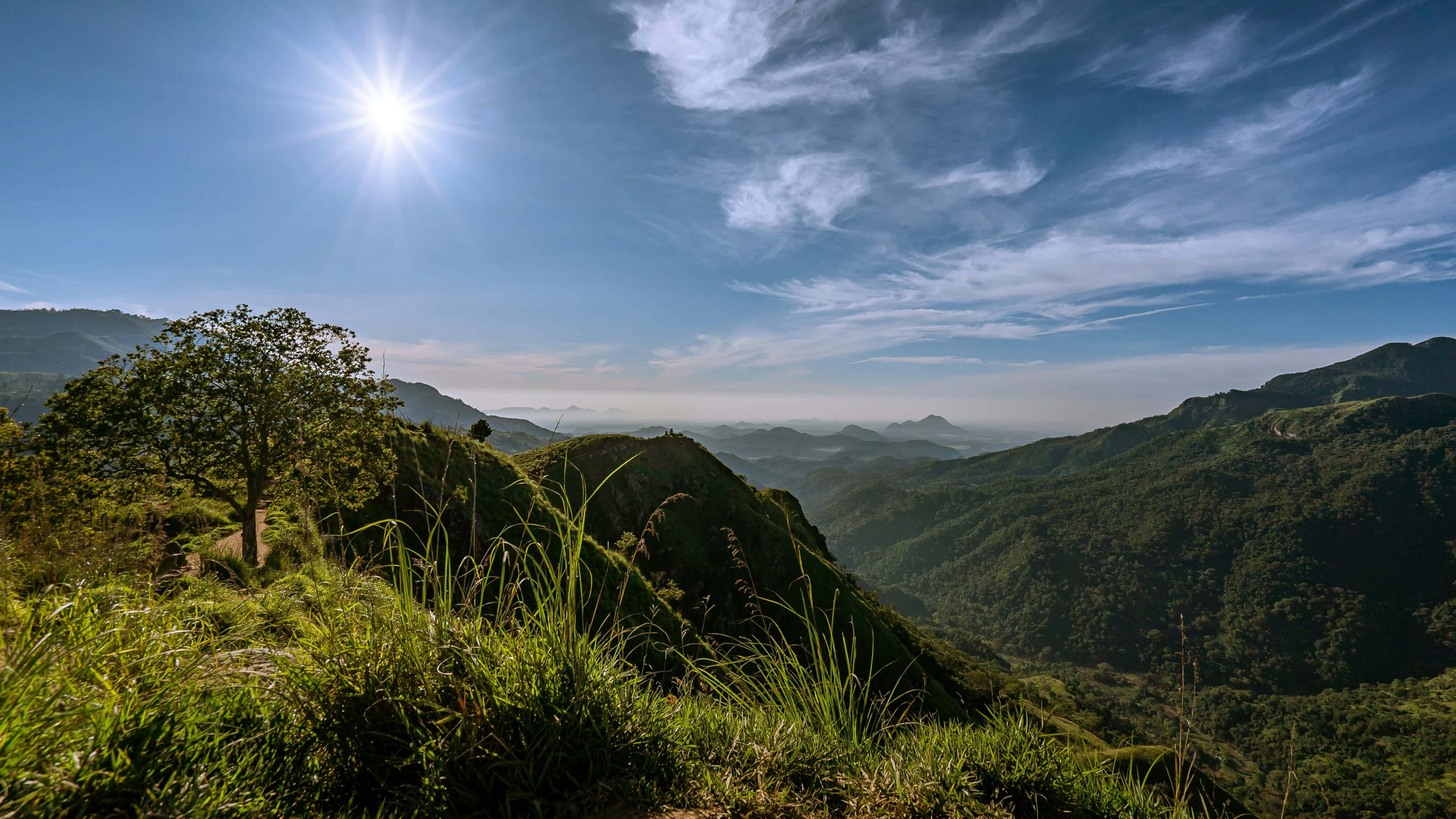 Nature