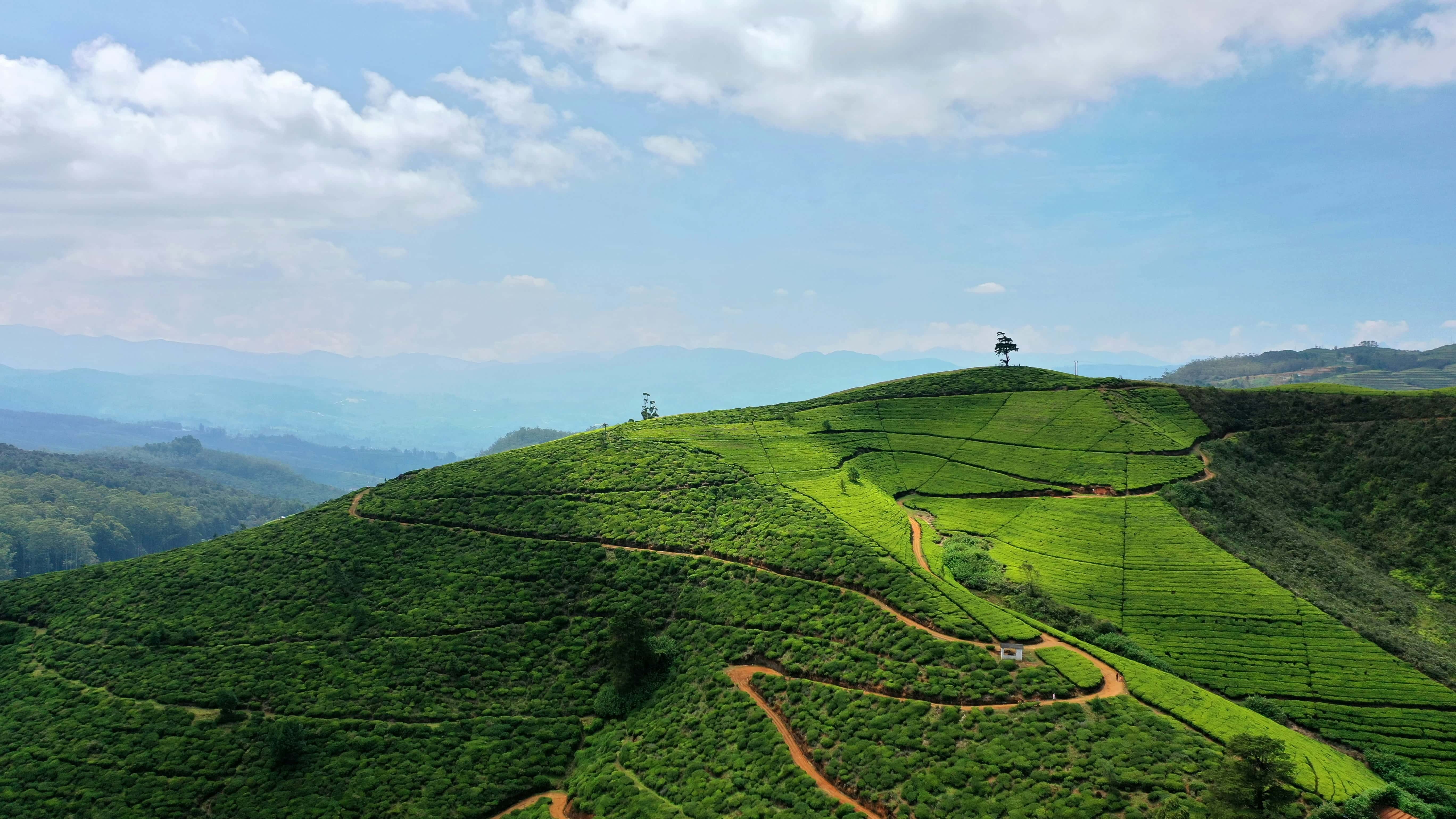 Nature