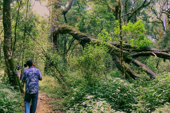 Wildlife Tours in Sri Lanka